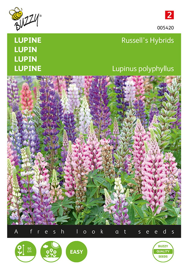 Lupin - Russell&