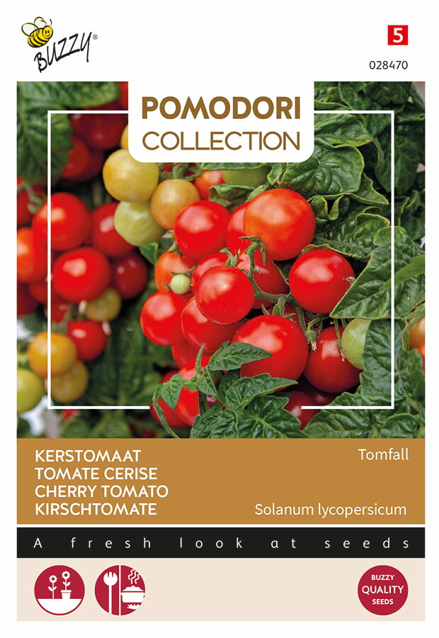 Cherry Tomato - Tomfall - 0,1g