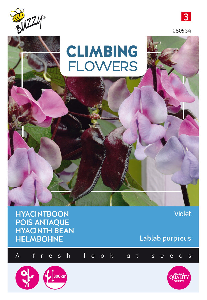 Hyacinth Bean - 3g