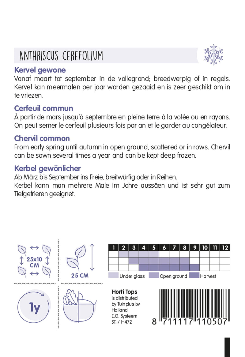 Chervil common - 5 g