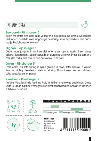 Vöröshagyma - Rijnsburger 5 -4 g