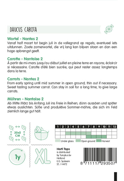 Carrot - Nantes 2 - 6 g