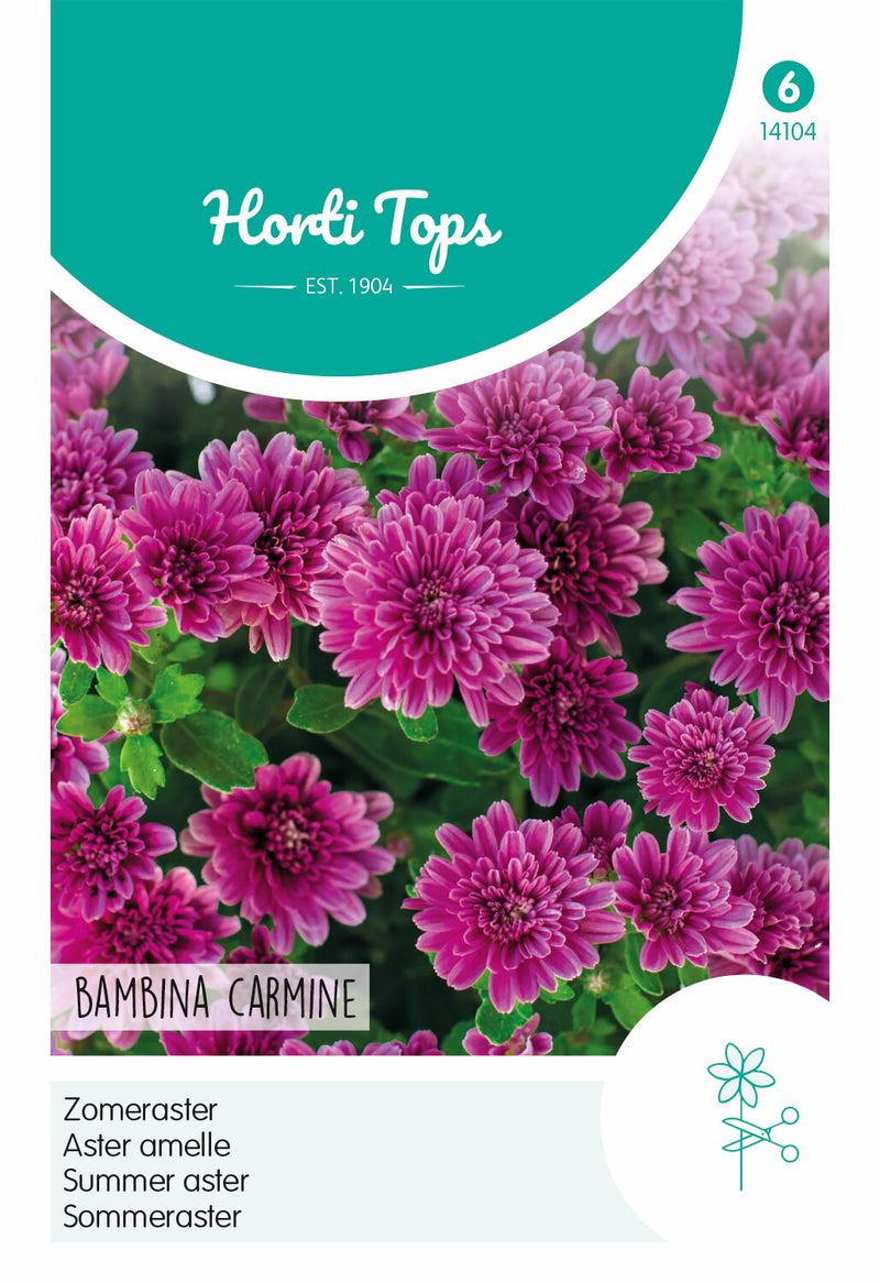 Summer Aster - Bambina Carmine - 20 Seeds