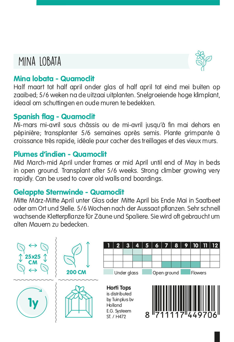 Mexikói Csodahajnalka - Quamoclit - 1,5 g