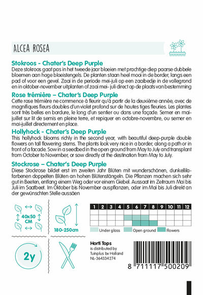 Mályvarózsa - Chater's Deep Purple - 0,25g