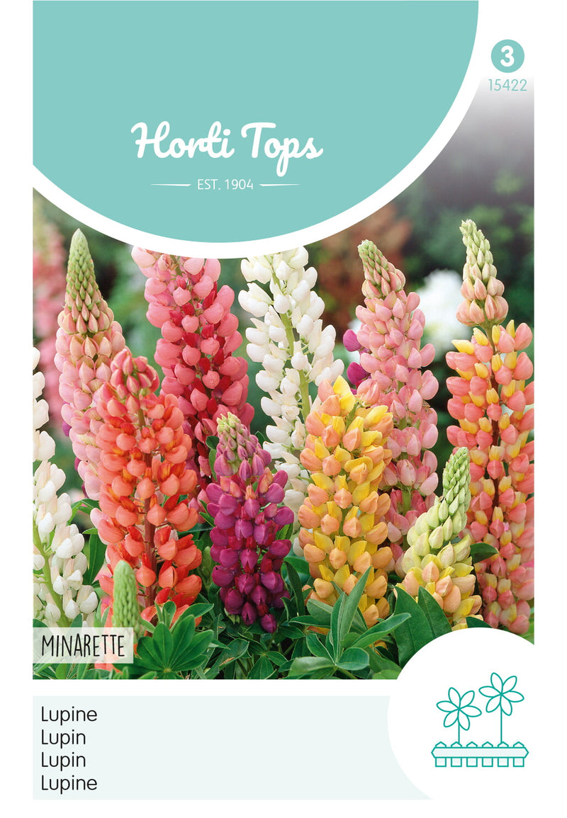 Lupine - Minarette - 1,5g