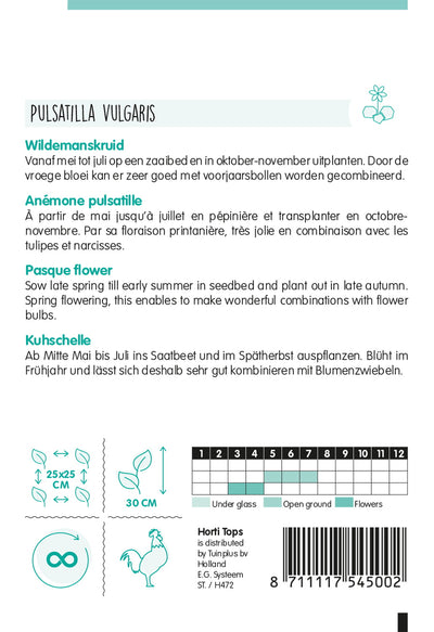 Kökörcsin - Pulsatilla - 0,1 g