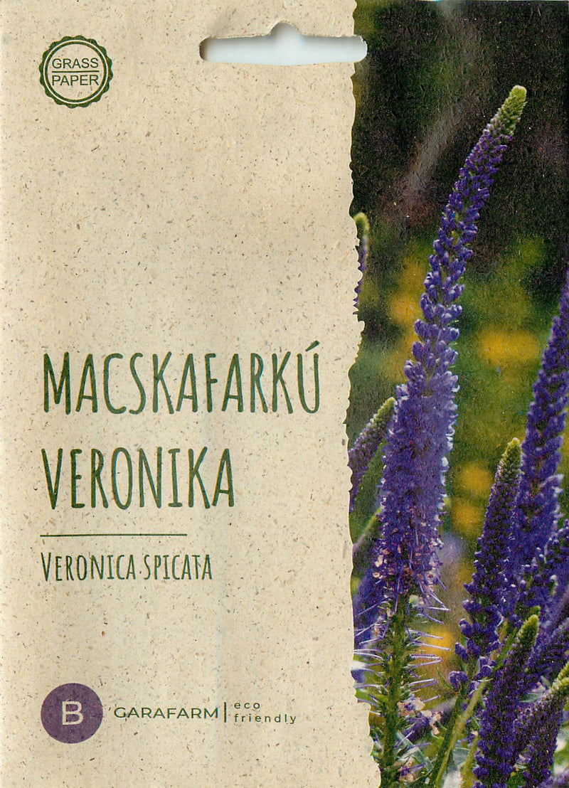 Macskafarkú Veronika - Kék - 0,03g