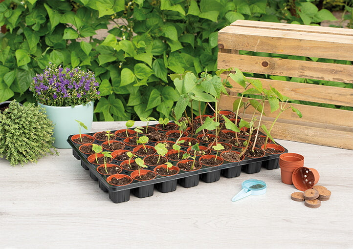 Seed Tray - 40 Pots