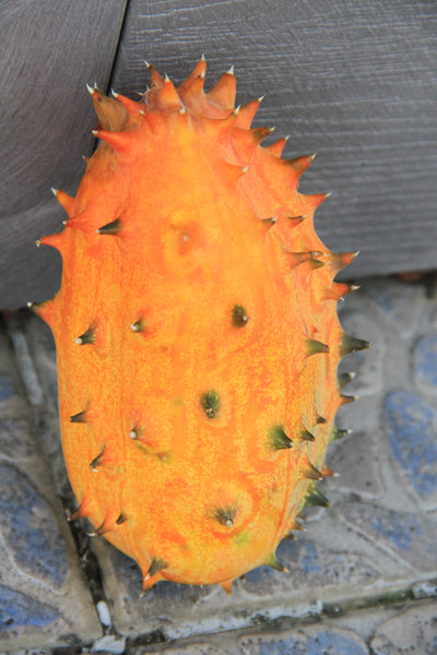 Tüskés Uborka – Kiwano - 10 Szem