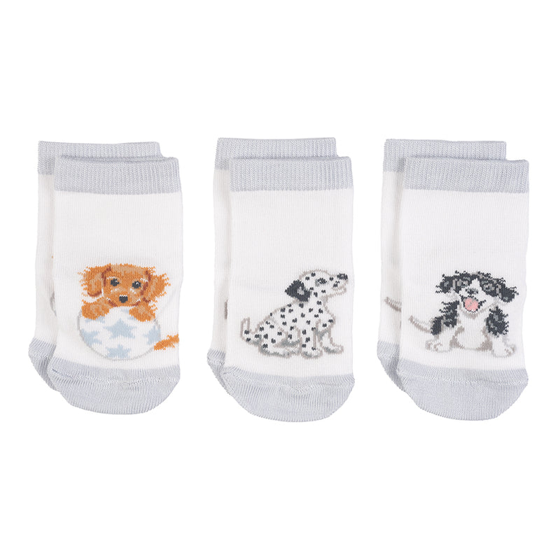 Baby Socks - Little Paws - 6-12 Months