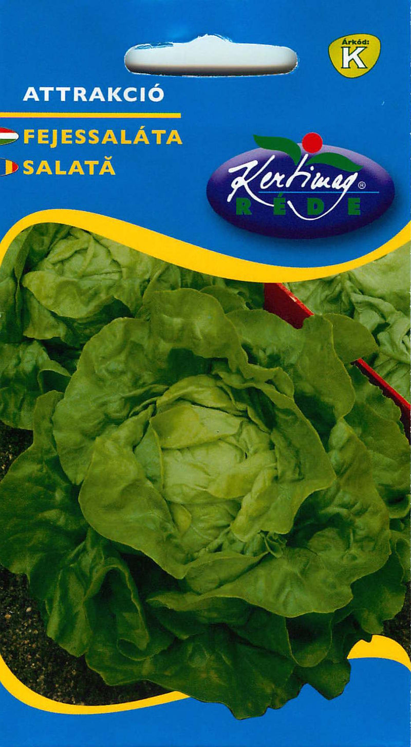 Lettuce - Attraction - 3g