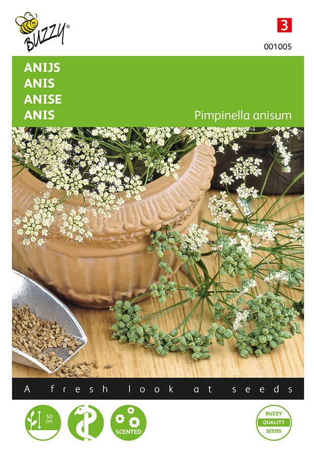 Anise - 3g