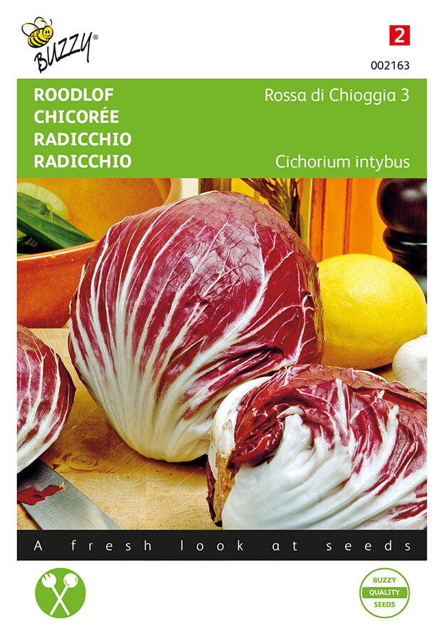 Radicchio - Rossa du Chioggia 3 - 3g