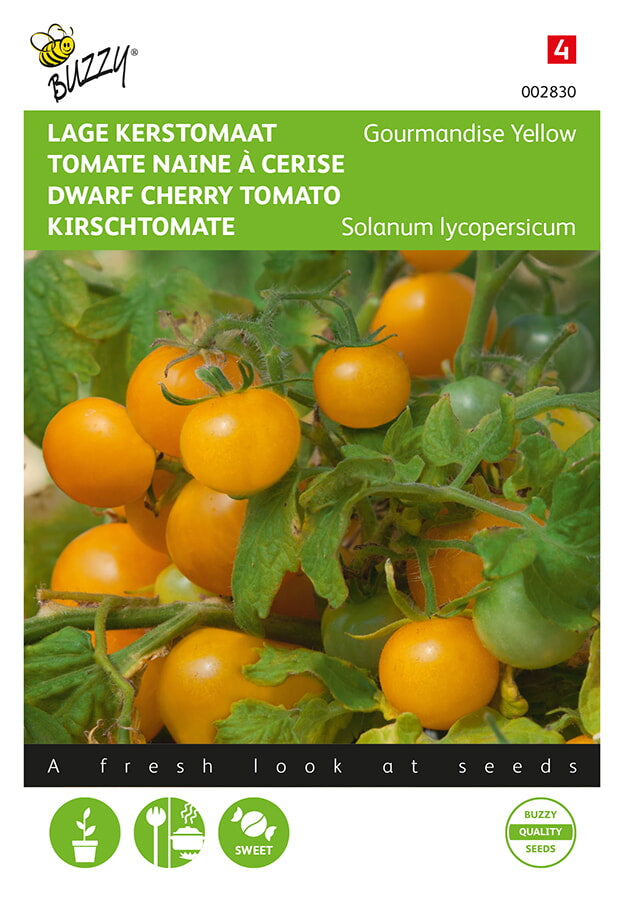 Dwarf Cherry Tomato - Yellow Gourmandise - 10 Seeds