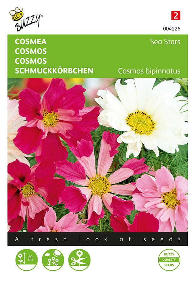 Cosmos - Sea Stars - 0,5g