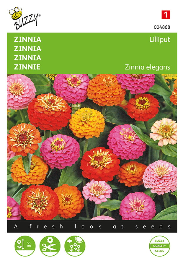 Zinnia - Lilliput - 1,5g