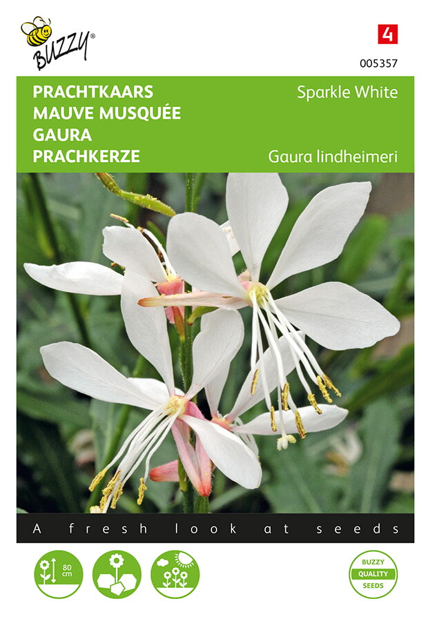 Gaura - Sparkle White - 15 Seeds