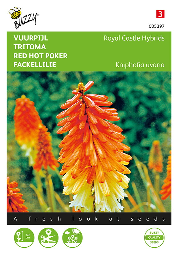 Red Hot Poker - Royal Castle Hybrids - 0,75g