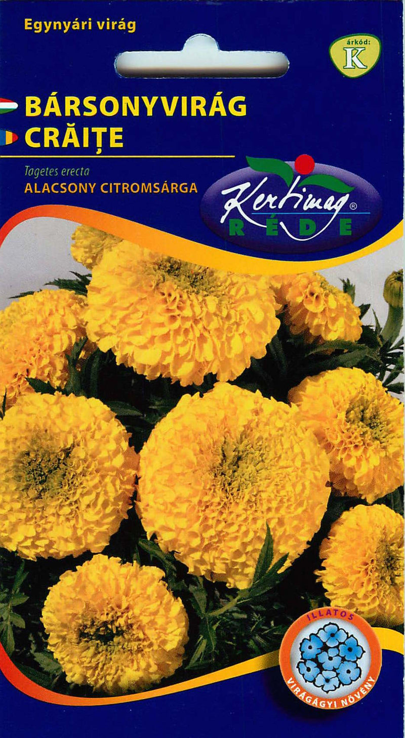 Bársonyvirág - Alacsony Citromsárga - 1g