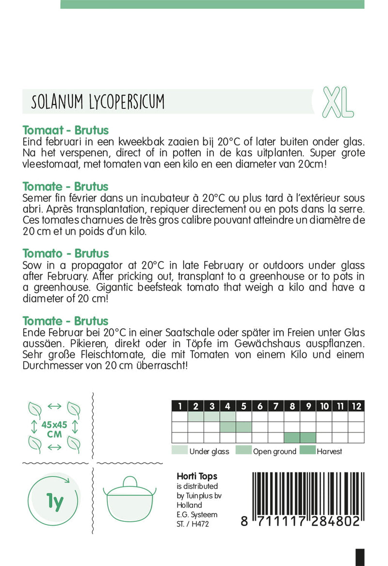 Tomato XL - Brutus - 0,2 g