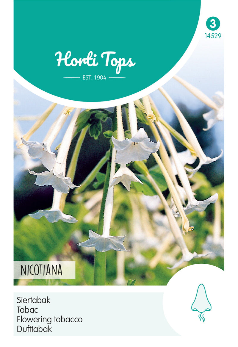 Virágzó Dohány - Nicotiana White - 0,15g