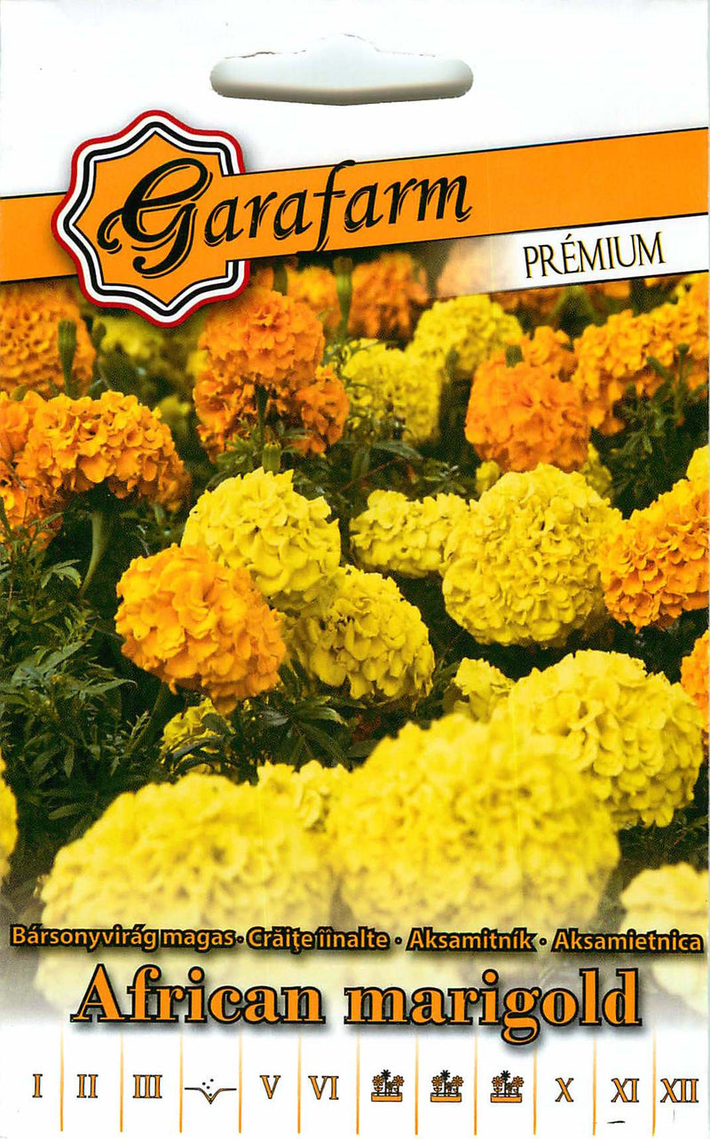 African Marigold - Premium - 1g