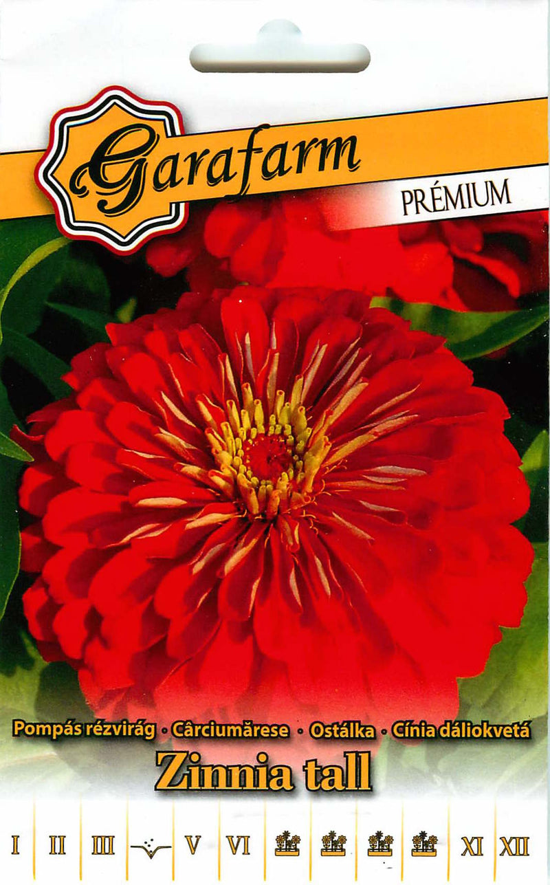 Zinnia - Tall - Red - 1g