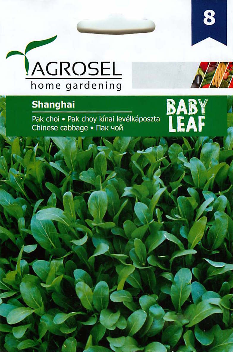 Pak Choy Kínai Levélkáposzta – Baby Leaf - Shanghai - 2,5g