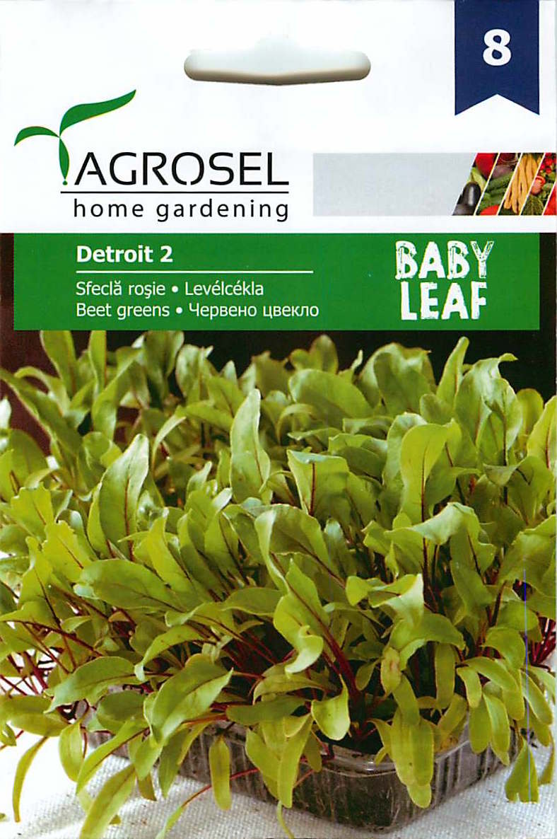 Levélcékla – Baby Leaf – Detroit 2 - 5g